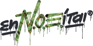 N.O.E