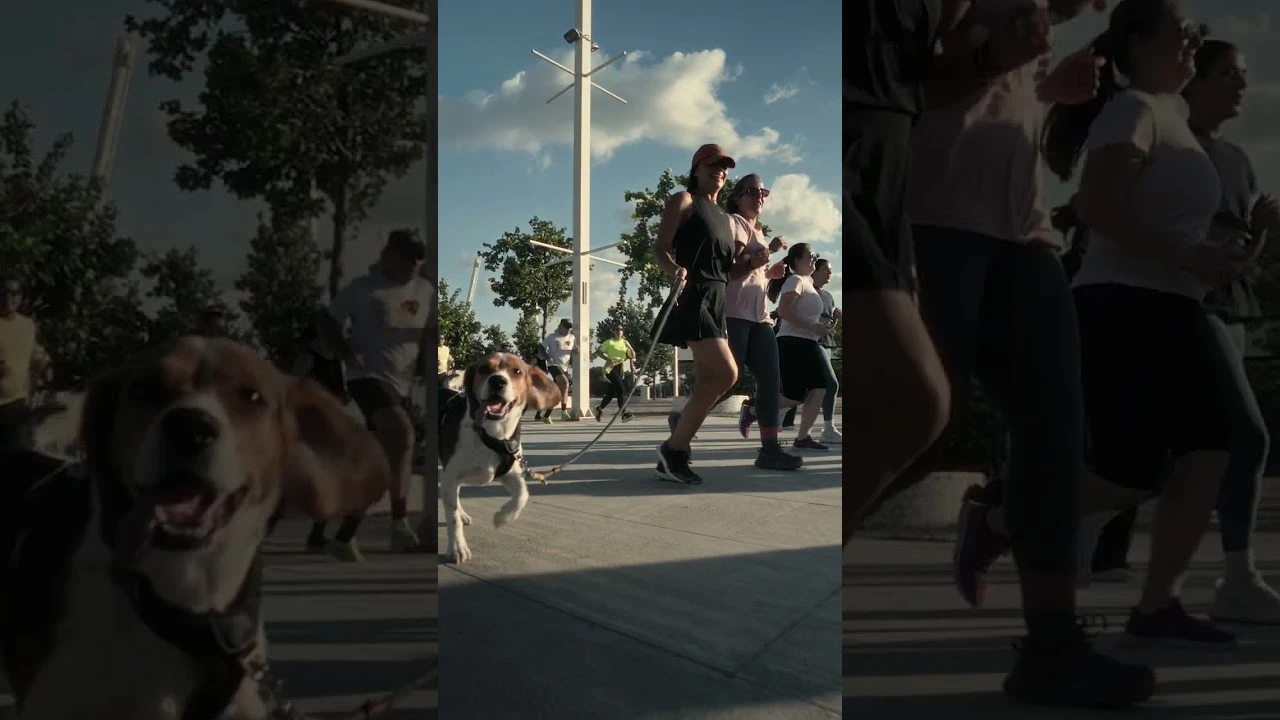 Bewell | Oaka Run