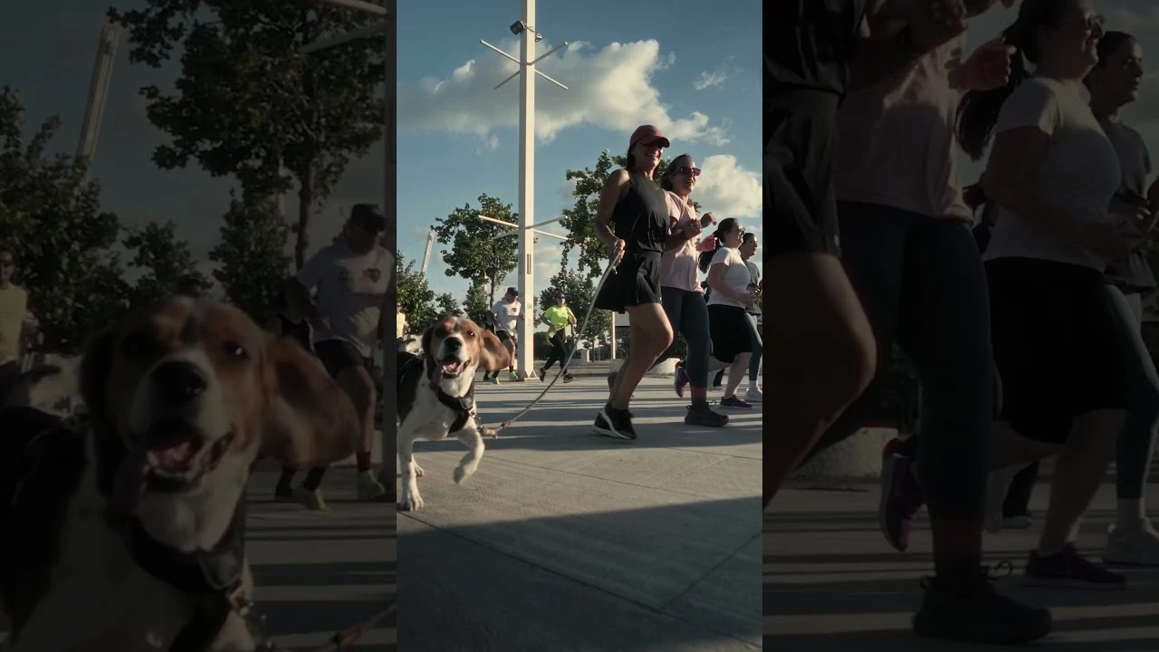 Bewell | Oaka Run